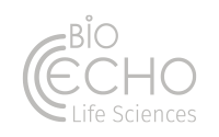 BioEcho-Logo-Grau-Website